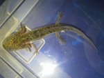 20130911_163501.jpg