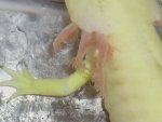 Left with white thing..jpg