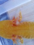 20130919_135056_zps4953ad34.jpg