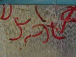 DSC04071.jpg