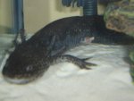 DSC01625.jpg