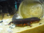 DSC00053.jpg