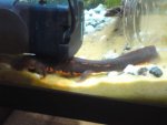DSC00058.jpg