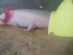 2008_0806firstpics0011.jpg