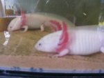 2008_0806firstpics0014.jpg