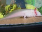 2008_0806firstpics0015.jpg