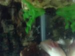 20130925_205746.jpg