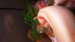 20131015_001518.jpg