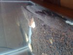 20131016_145331.jpg
