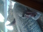 20131016_145617.jpg