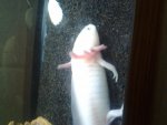 20131016_145549.jpg