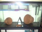 20131105_113211.jpg