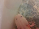 20131107_193021.jpg