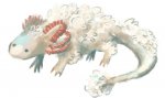 sheeplotl.jpg
