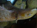 DSC02013.jpg DSC02013.jpg