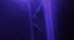 blacklight.JPG