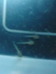 axy66444.jpg