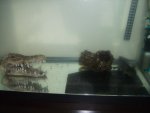 DSCF7381_800x600.JPG