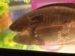 IMG_0577.jpg