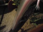 DSCF0752_2.JPG
