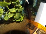 DSCF0754_2.JPG