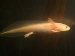 DSC04068.JPG