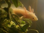 DSC04067.JPG