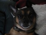 Picture 036.jpg
