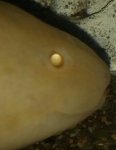 CAM00042-1.jpg