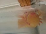 20140130_232905.jpg