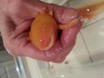 20140130_231422.jpg