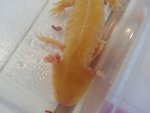20140131_133333.jpg