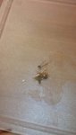 20140206_235327.jpg