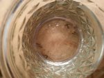 20140202_230905.jpg