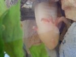 20140219_133451.jpg
