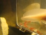 DSC04159.JPG