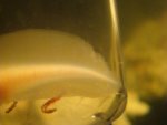 DSC04163.JPG