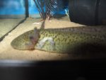 IMG_1054.jpg