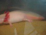 DSC00740.jpg