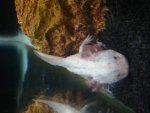 20140317_082959.jpg