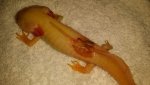 20140319_152157.jpg