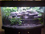 3D Alcove Low Water Aquarium.jpg