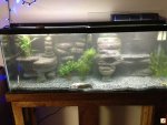 3D aquarium ledges and caves.jpg