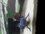 20140318_214050.jpg
