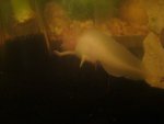 DSC04460.jpg