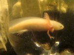 DSC04459.jpg