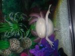 20140413_153138.jpg