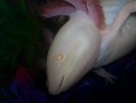 20140413_153201.jpg