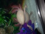 20140413_153039.jpg