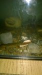 Windows Phone_20140503_004.jpg
